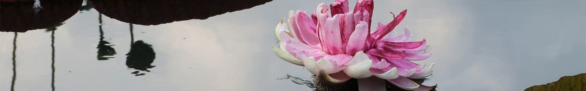 ML-Sophrologie - Comment se déroule une séance de sophrologie en entreprise ?